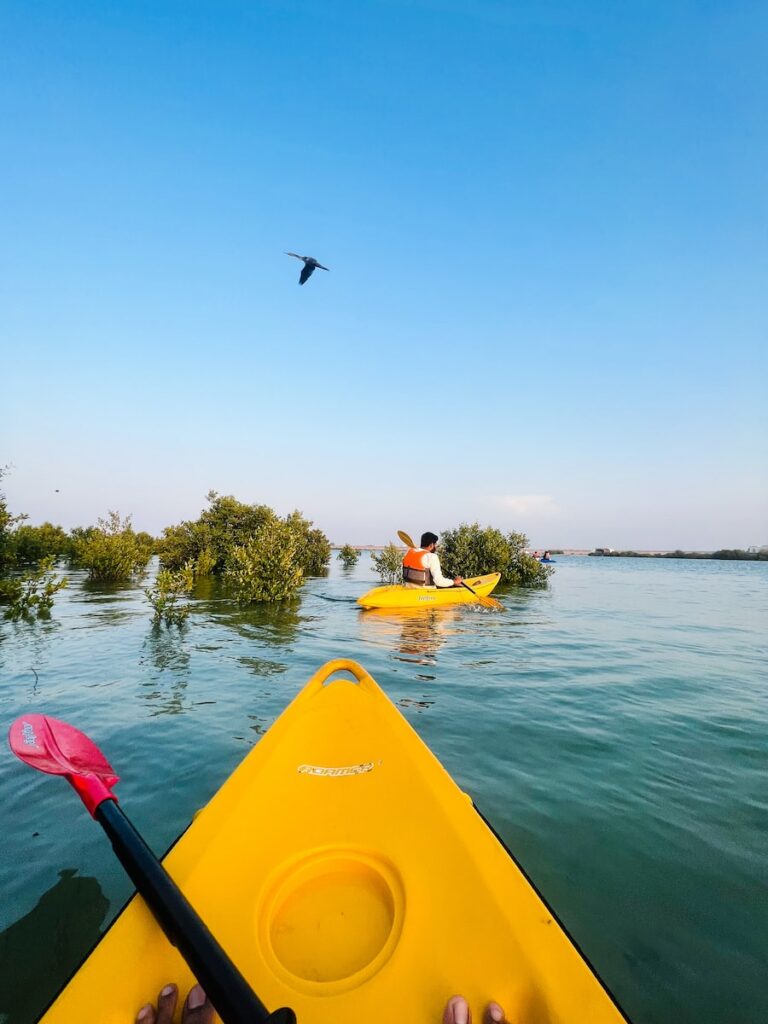 Photographing Birds from kayak